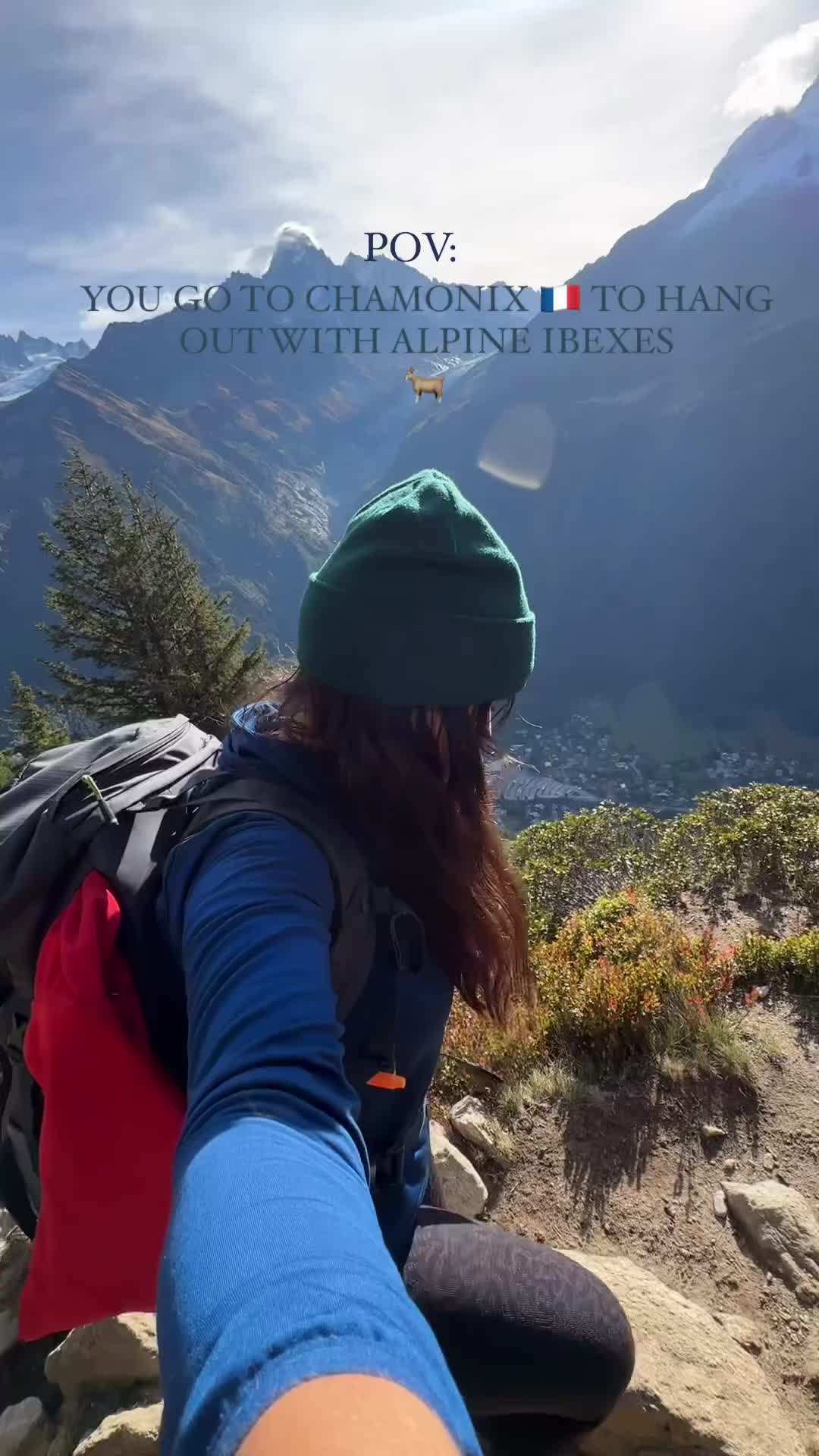 Discover Ibexes in the French Alps: A Hiking Adventure