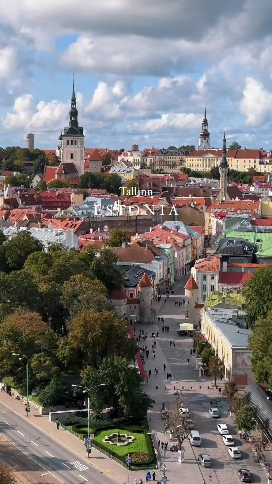 Weekend in Tallinn: Best Eats and Views 🇪🇪