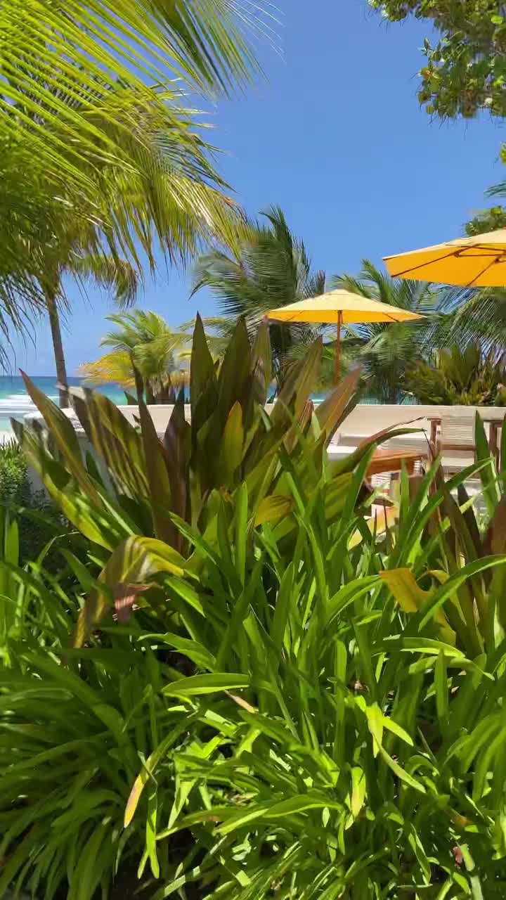 Stunning Half Moon Hotel: Beach Bliss in Montego Bay