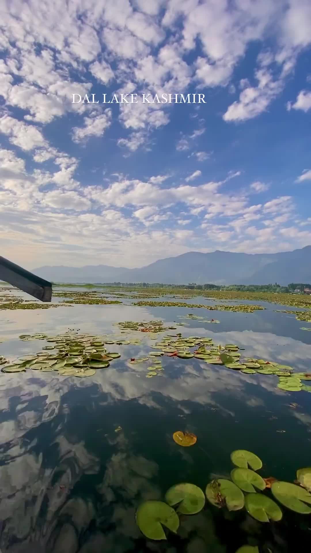 Spring's First Heartbeat at Dal Lake, Kashmir