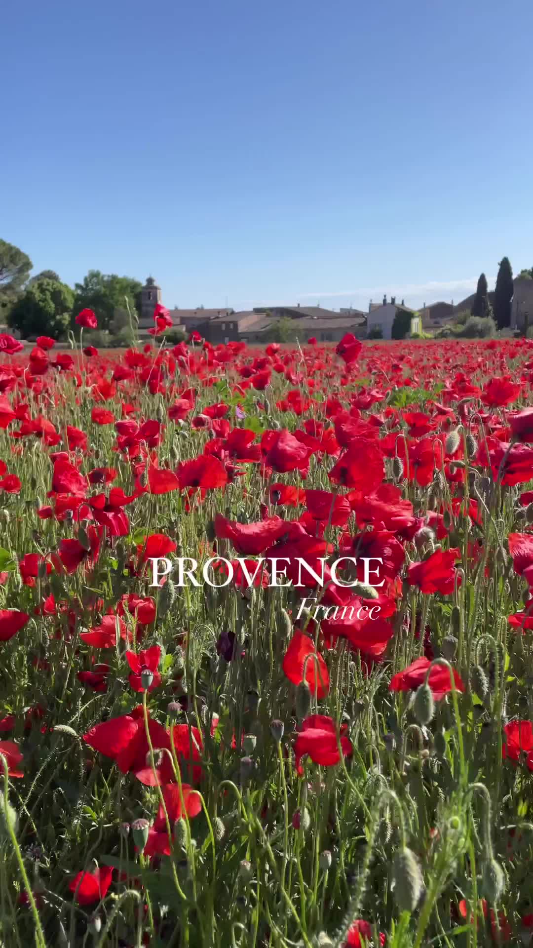 Provencal villages are always a good idea ❤️🇫🇷

📍Oppède Le Vieux, Lagnes, Provence

#luberon #vaucluse #france #francia #francetourisme #frança #southoffrance #visitfrance #suddelafrance #beautifuldestinations #provence #tourismefrance #explorefrance #provencefrance #provencealpescotedazur #provance #francetourisme