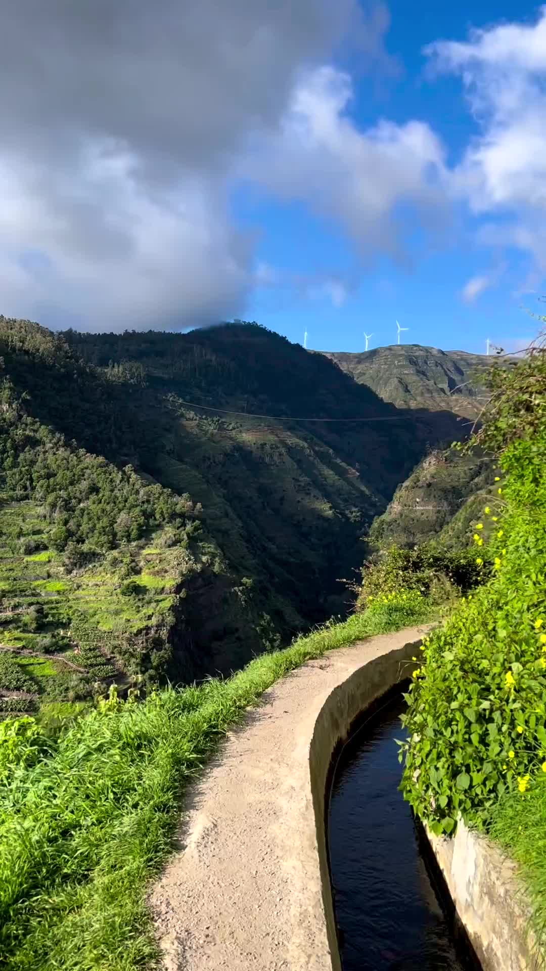 Discover Waterfalls on Levada Nova in Madeira