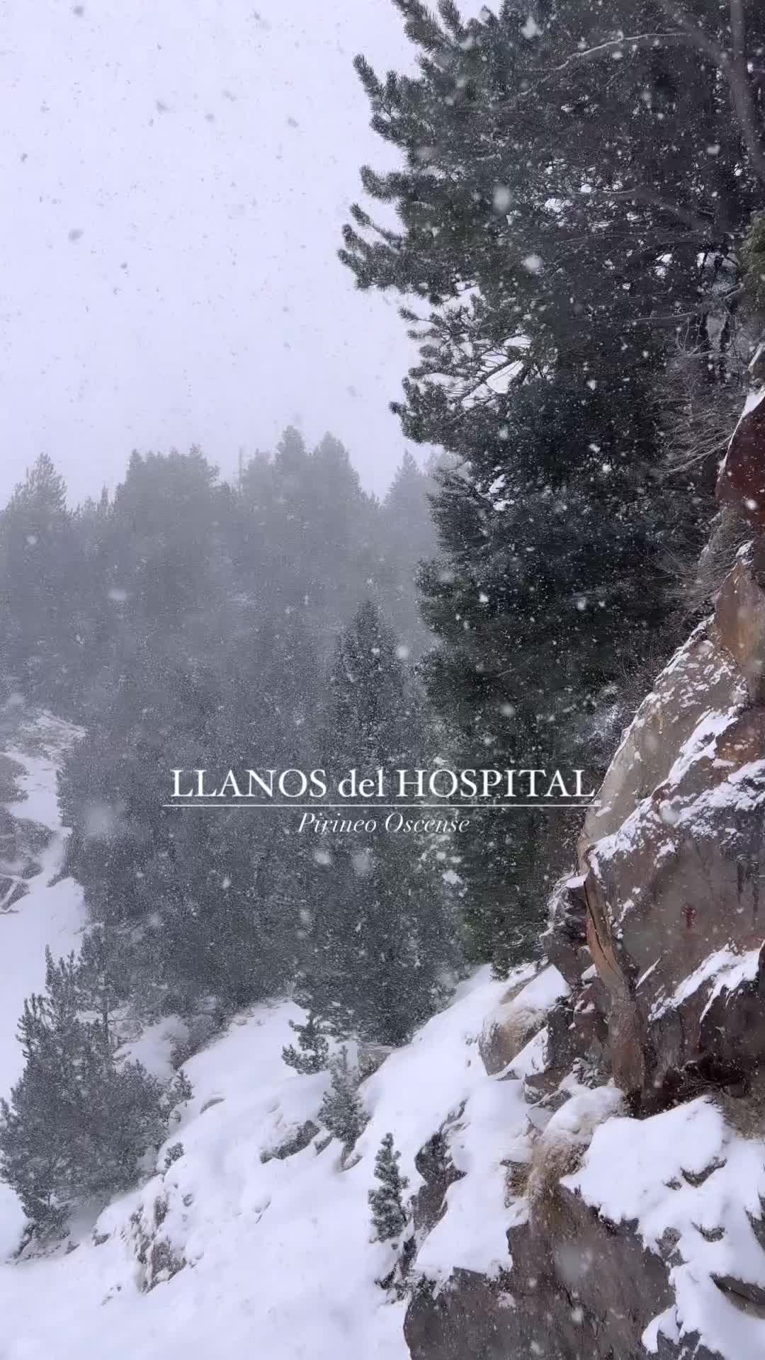 Spectacular Snowfall: Llanos del Hospital to Forau d’Aigualluts
