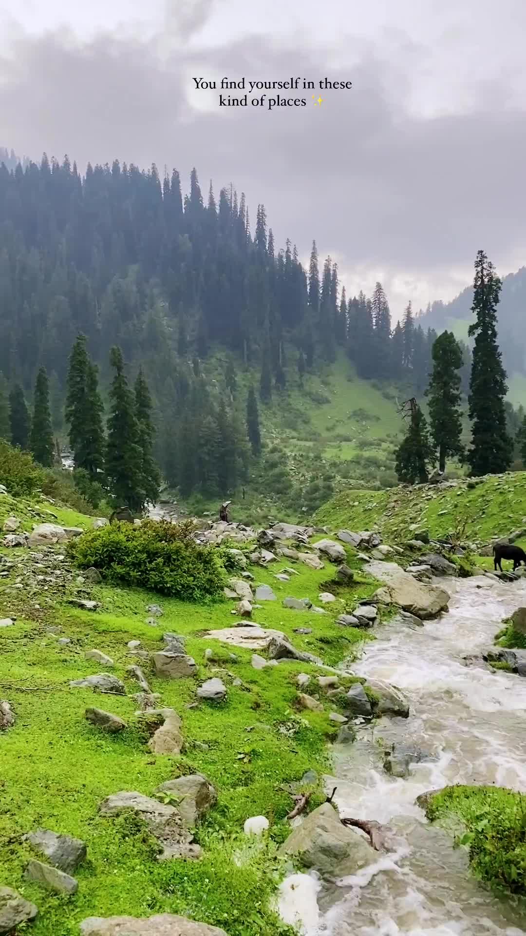 Tranquil Streams in Scenic Srinagar, Kashmir