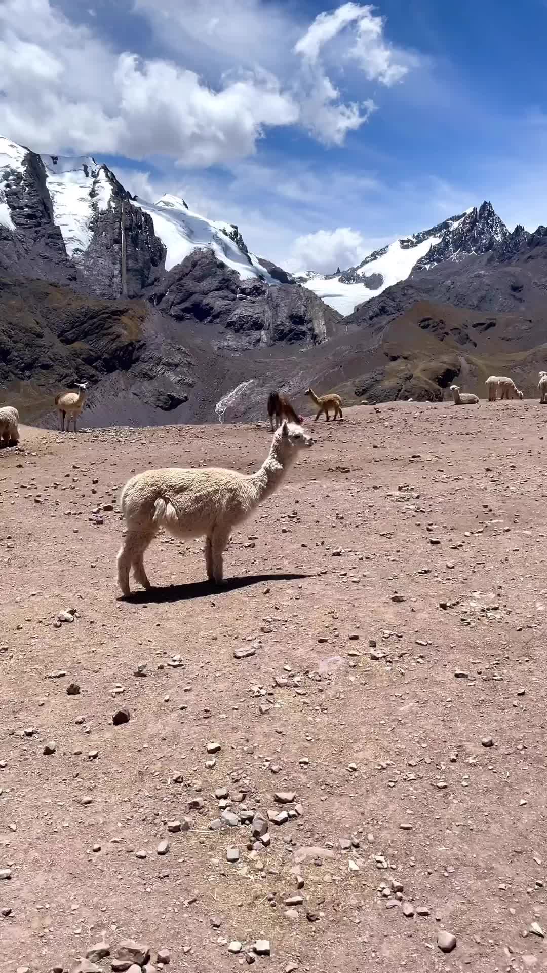 Hiking Rainbow Mountain, Peru: An Unforgettable Adventure