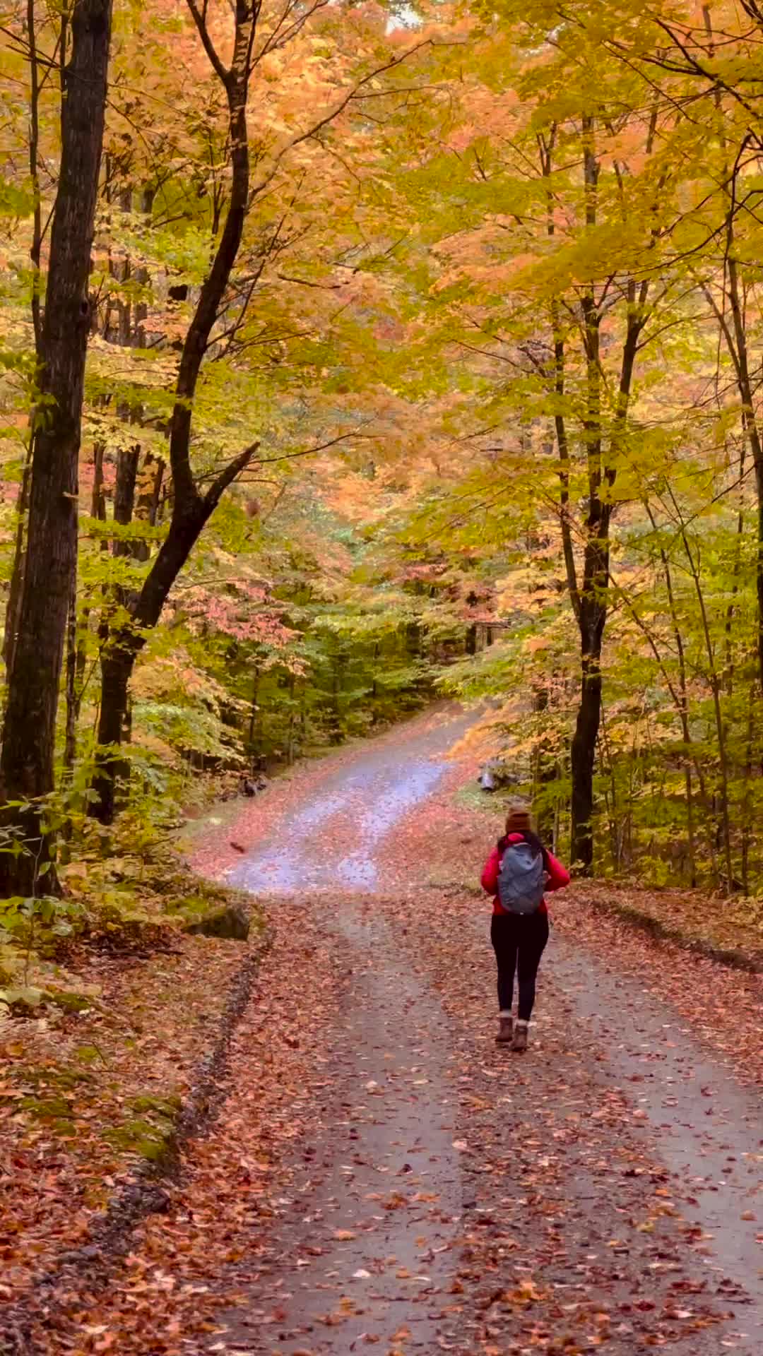 Scenic Autumn Walk in Adirondack Mountains, NY