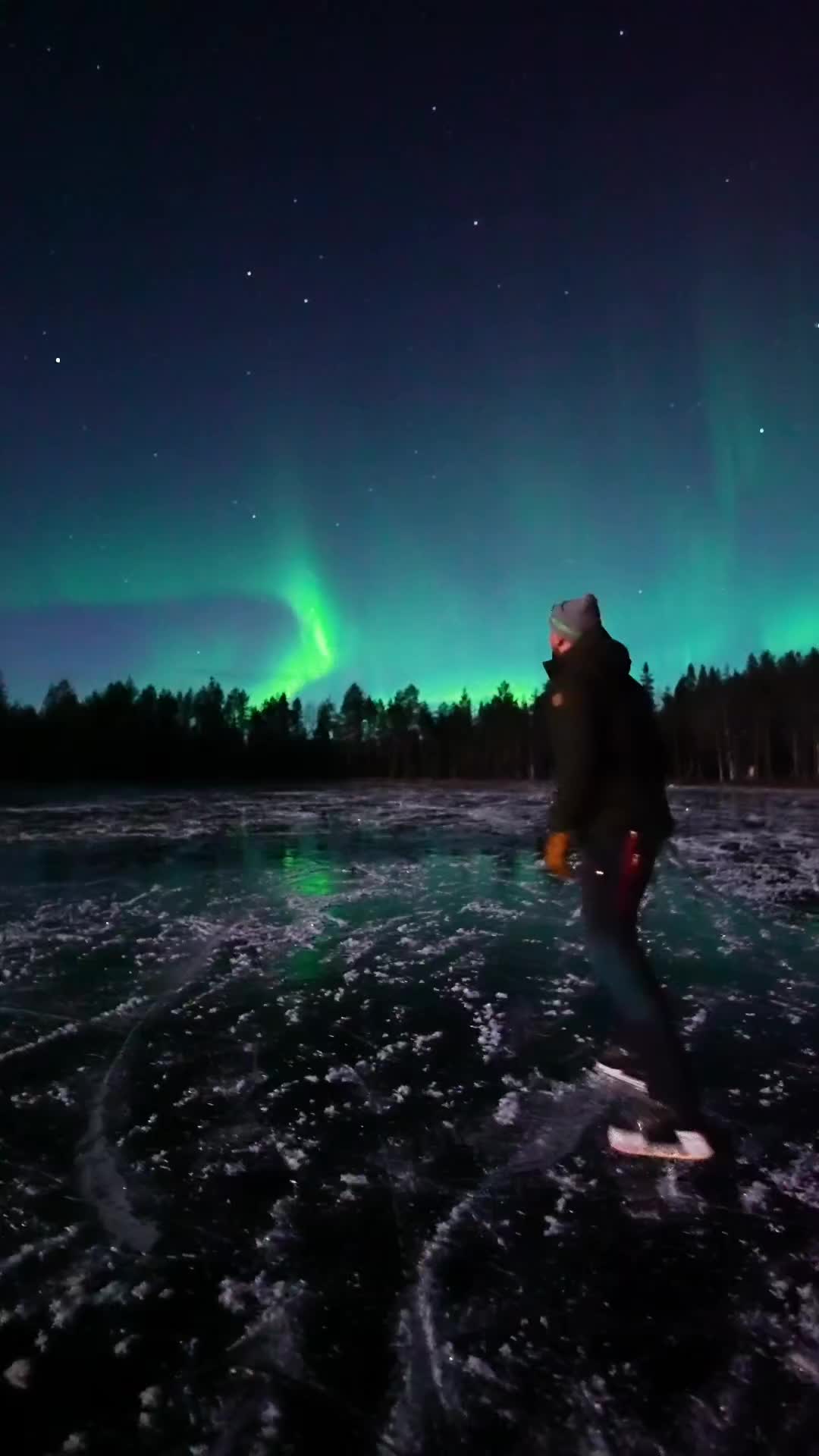 Discover the Magic of Northern Lights in Ranua, Finland