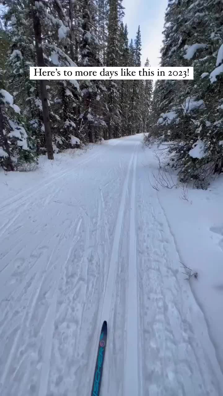 Simple Joys in Banff, Alberta's Winter Wonderland