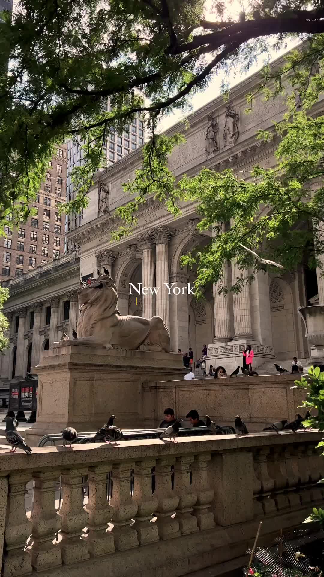 Discover the New York Public Library in 4K