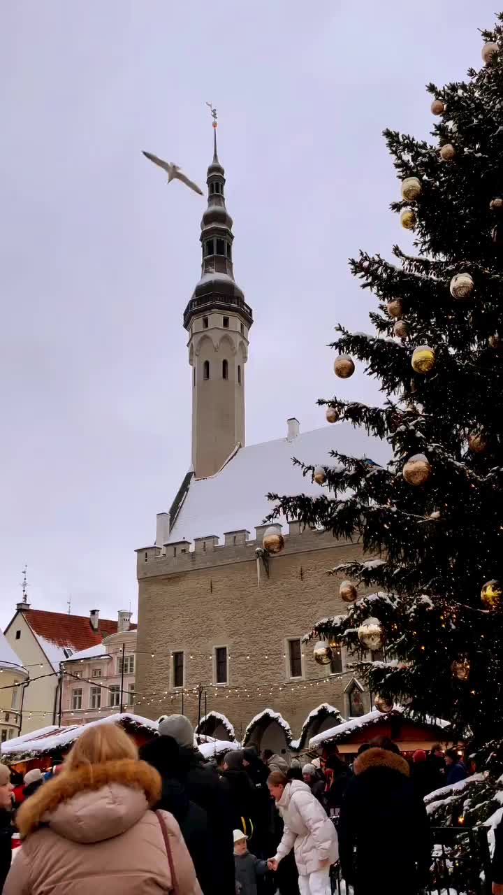 Christmas Vibes in Beautiful Tallinn's Town Hall Square