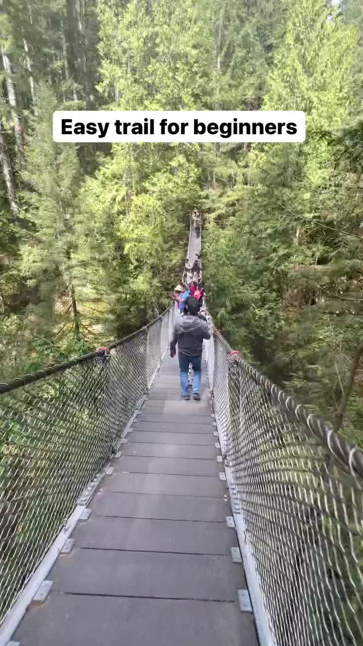 Easy Hiking Trail in North Vancouver for Beginners
