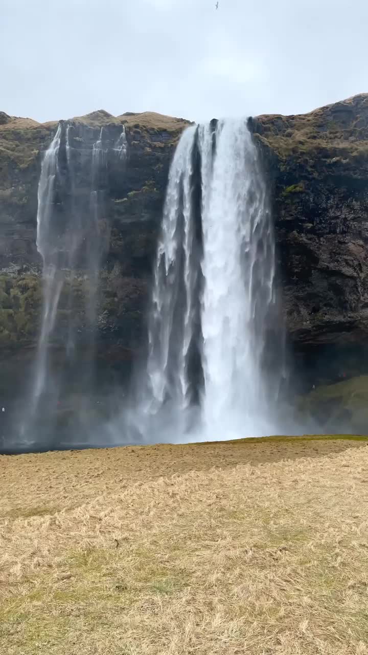 Chasing Iceland's Seljalandsfoss Waterfall Adventures
