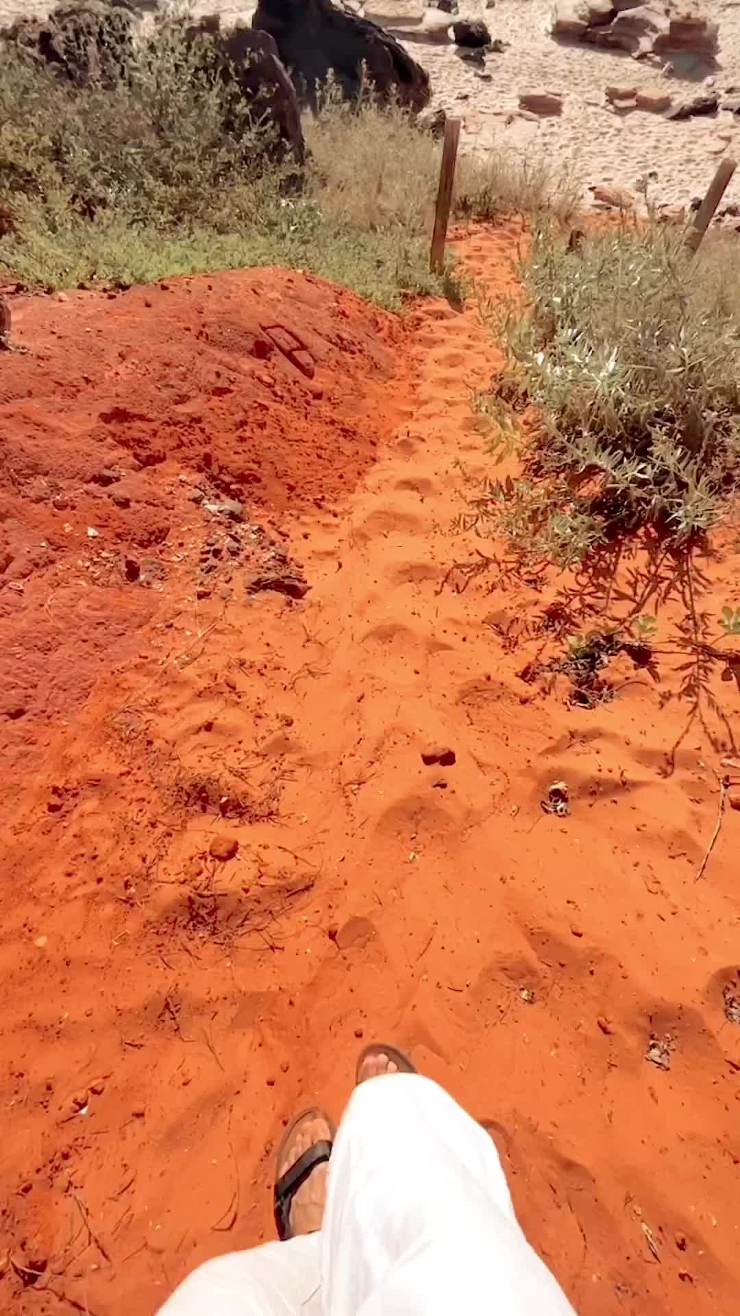 Camel Ride Adventure in Broome