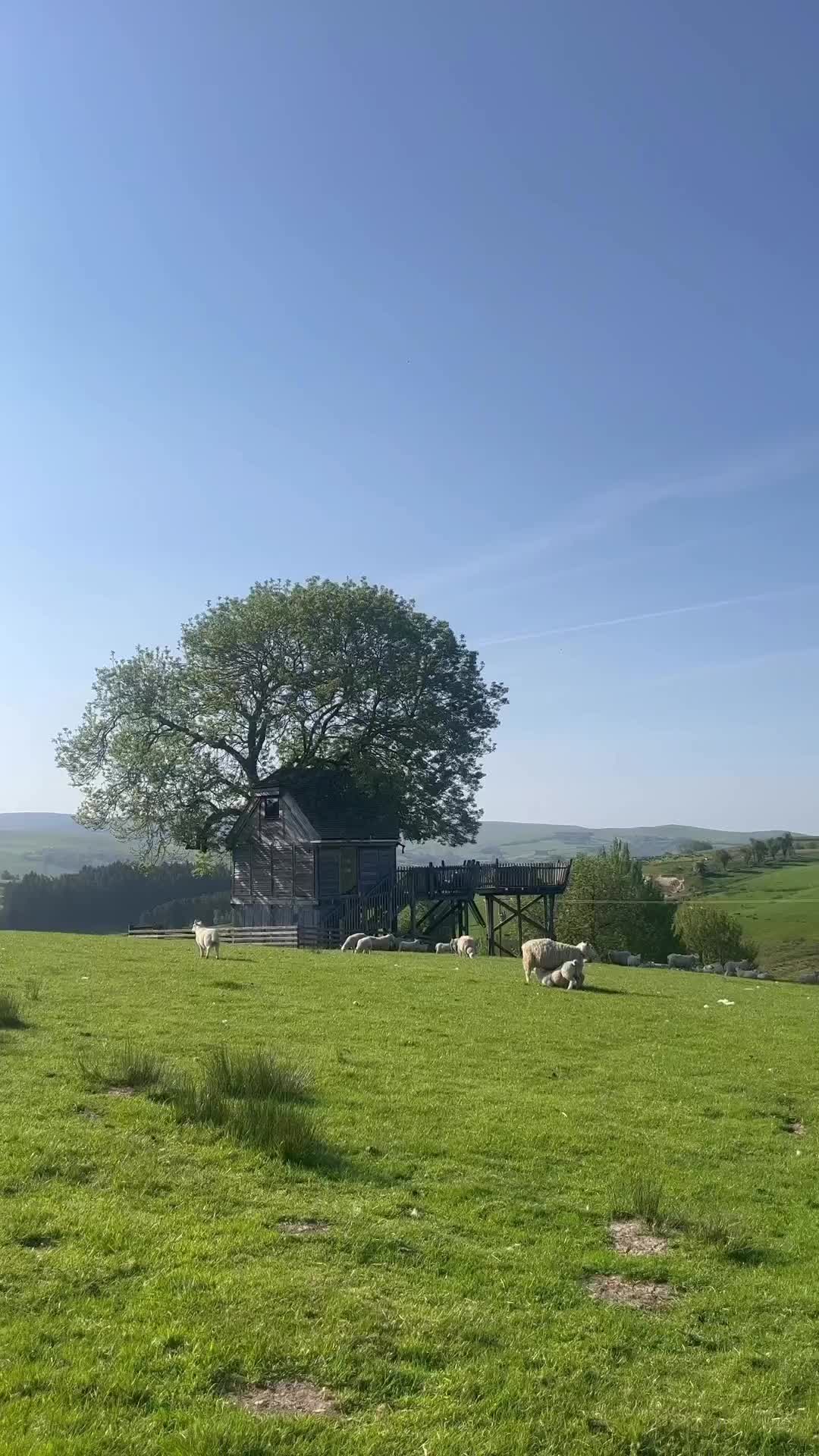 Gorgeous Bath or Hot Tub? Your Dream Retreat Awaits