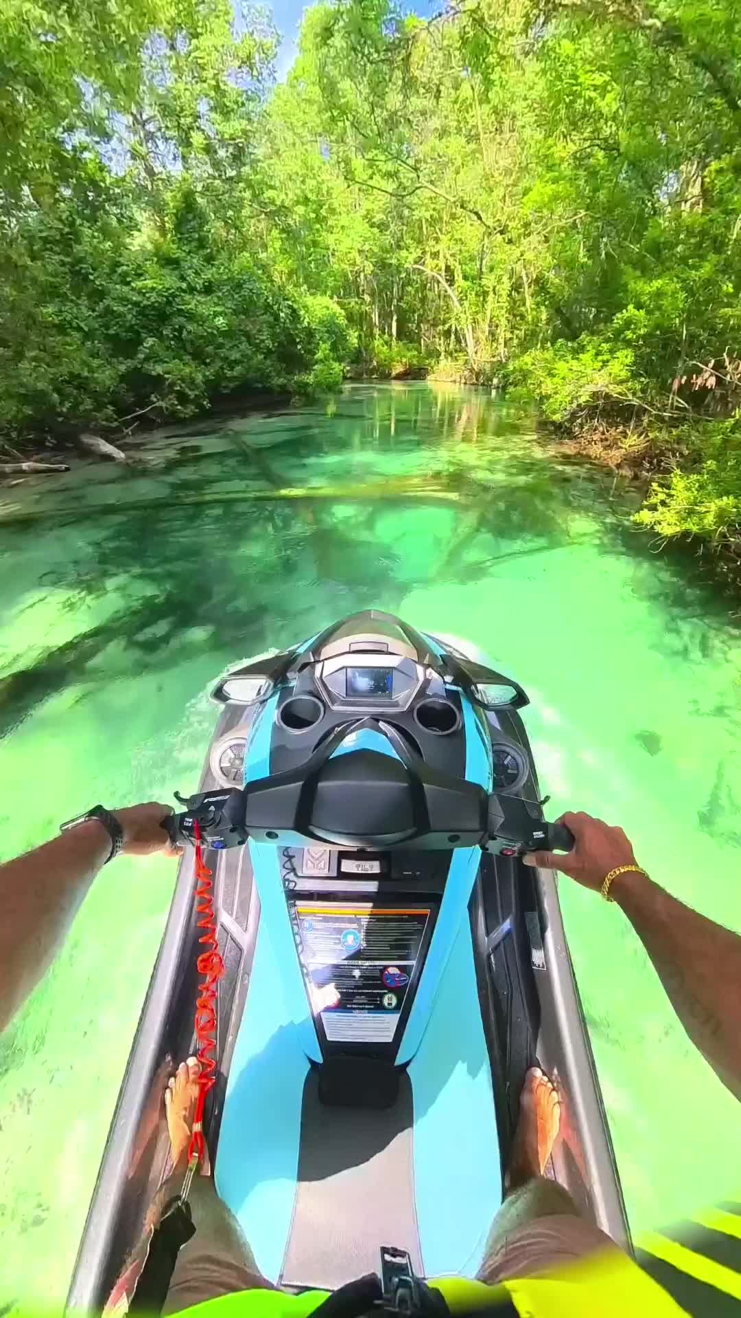 Discover the Perfect Beauty of Weeki Wachee River 🌊✨