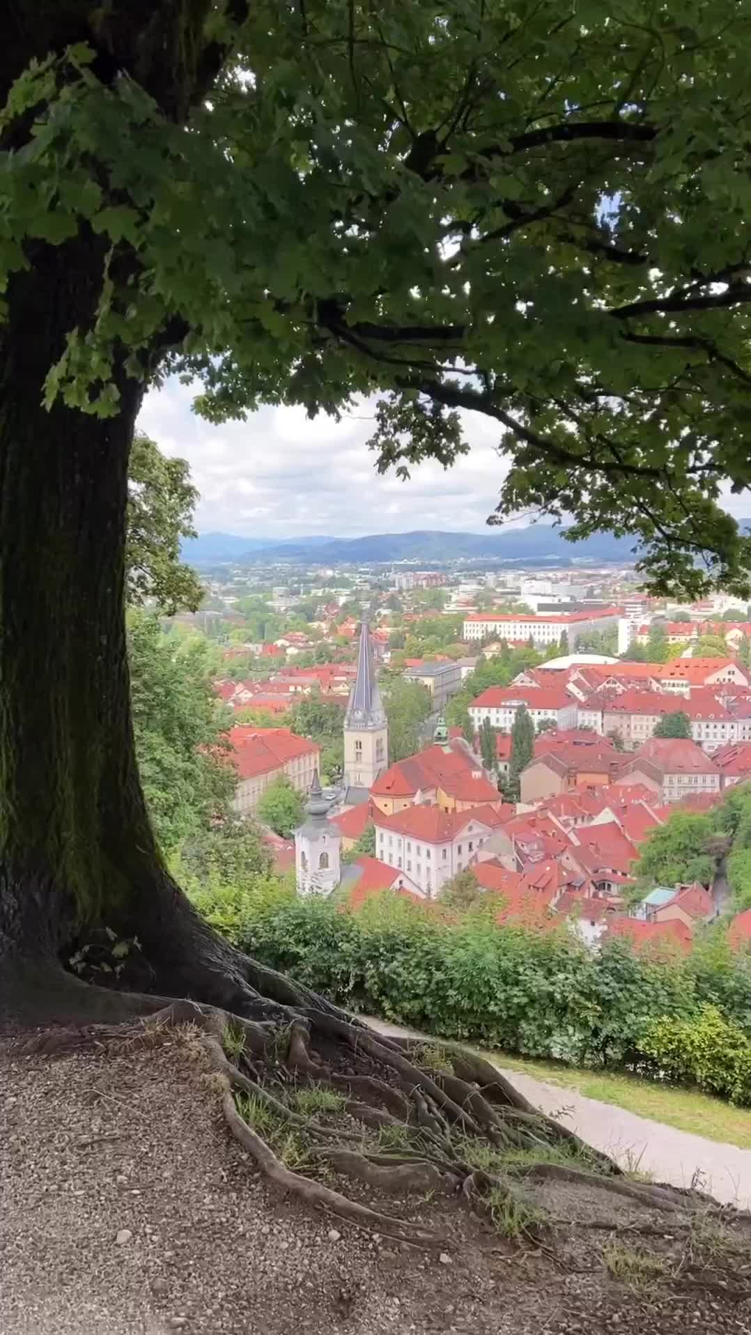 Discover Ljubljana: A Walking Tour Adventure