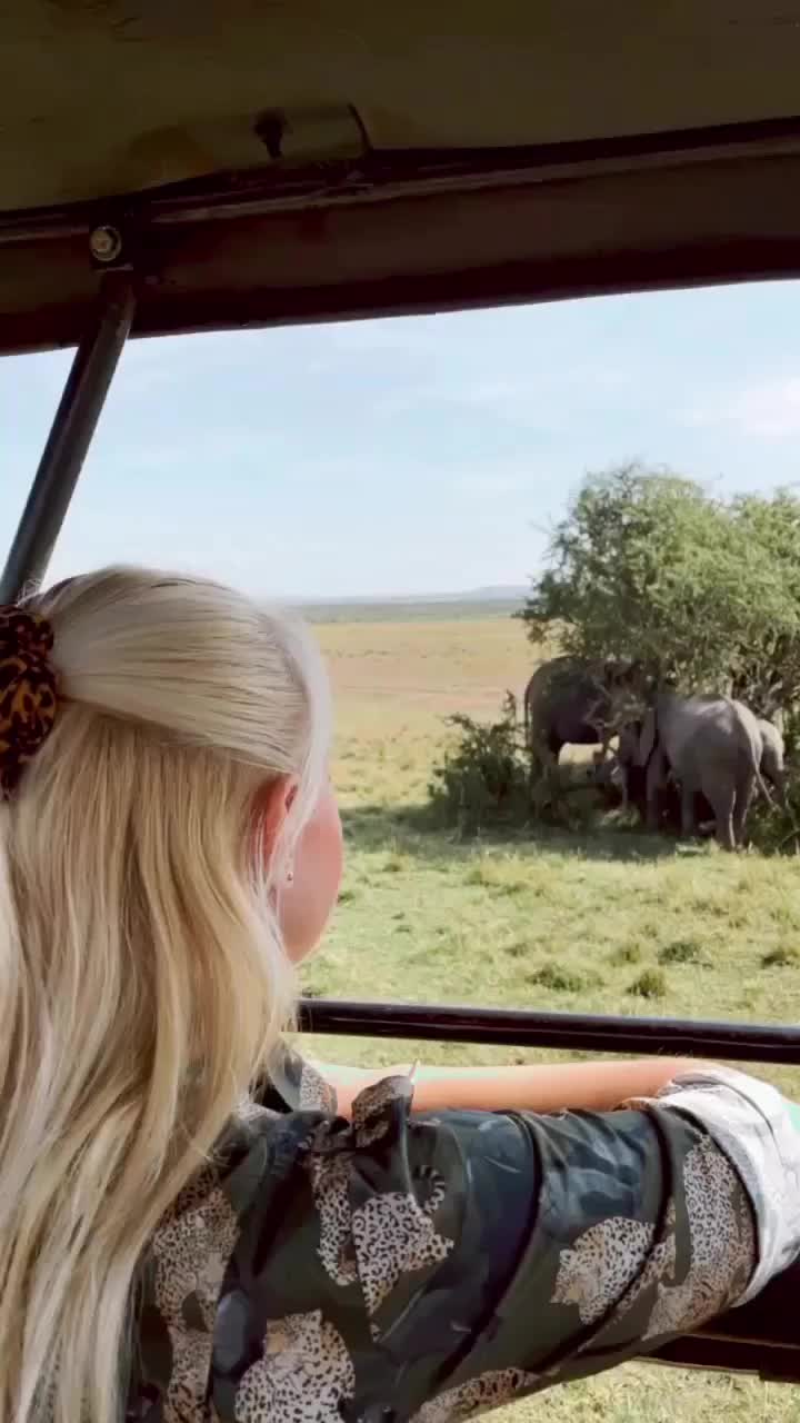 Wonders of beautiful Masai Mara 🥰🐘🦒🦛🐆🦏🦓 
@bagheera_tours 
#kenya#visitkenya#masaimara#masaimaranationalpark#masaimarasafari#safari#nationalpark#animals#wildlife#safarianimals#amazing#wonders#animalworld