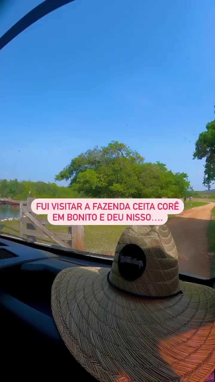 FUI VISITAR A FAZENDA CEITA CORÊ EM BONITO E DEU NISSO. Já salva o post.

Imagina um lugar cheio de trilhas que dão em várias cachoeiras diferentes… essa é a @fazendaceitacore em Bonito. Um dos lugares que vocês me indicaram bastante.

No valor de R$217 na baixa temporada tá incluso todos esses atrativos do vídeo + lanche da manhã, almoço MARAVILHOSO e lanche da tarde. Tirando um balneário lindo que você pode nadar, andar de caiaque e até andar a cavalo durante todo resto da tarde.

Obrigado @ondeirembonitoms por ter colocado no roteiro e @fagnerperesoficial pelo vídeo maravilhoso.

Marca seus amigos que topariam vir pra Bonito com você 👇🏻