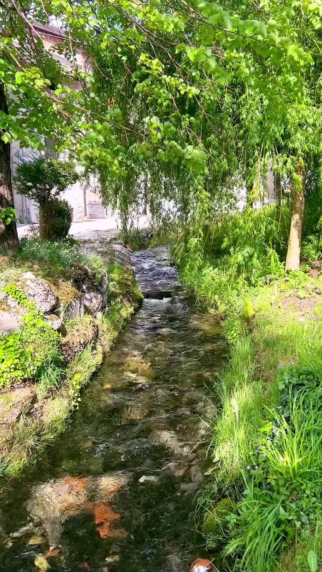 CONOSCI IL VILLAGGIO DEI MULINI TRA LE MONTAGNE DEL FRIULI? 🫧

Esiste un villaggio incantato, tra mulini e case medievali, circondato dalle splendide montagne della Carnia: Illegio 💚

Una volta giunti in questa piccola perla del Friuli Venezia Giulia, la prima cosa da fare è sicuramente il “percorso dei mulini”, alcuni dei quali ancora funzionanti, con corsi d’acqua, sorgenti e tanto verde 🍃

All’interno del borgo, poi, troverai piccole botteghe, qualche locale dove assaggiare i piatti tipici e delle mostre interessanti, frutto della partnership con musei e collezionisti di tutta Europa 🖼️

Anche tu ami questi piccoli villaggi❓

-

#illegio #carnia #alpicarniche #friuli #friuliveneziagiulia #fvg #friulidascoprire #udine #natura #villaggio #borghi #borghitalia #viaggiare #italia #norditalia #triveneto #italiadascoprire #travel #viajes #villages #fridaynowandagain #travelreel #postidavisitare #luoghimagici