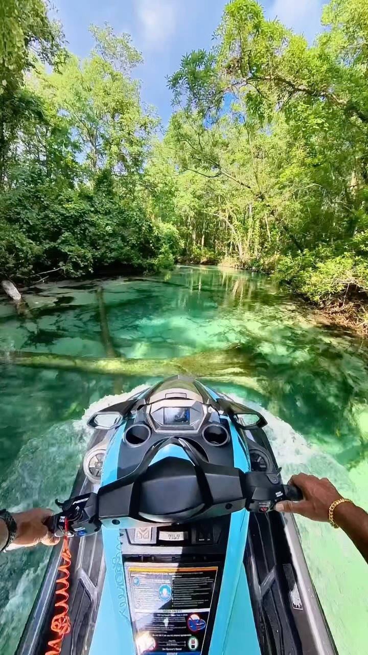 Jardines de Weeki Wachee, Estados Unidos