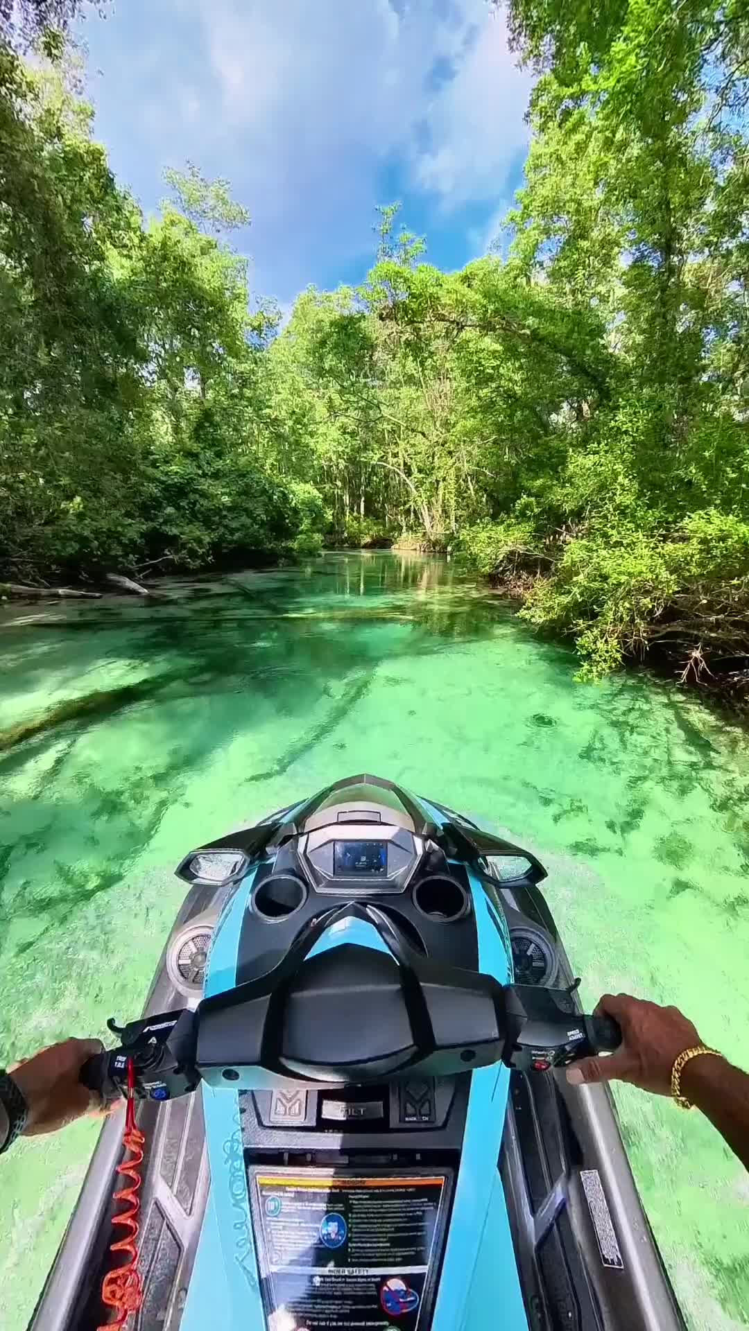 Explore Weeki Wachee River Adventures 🌿🚤