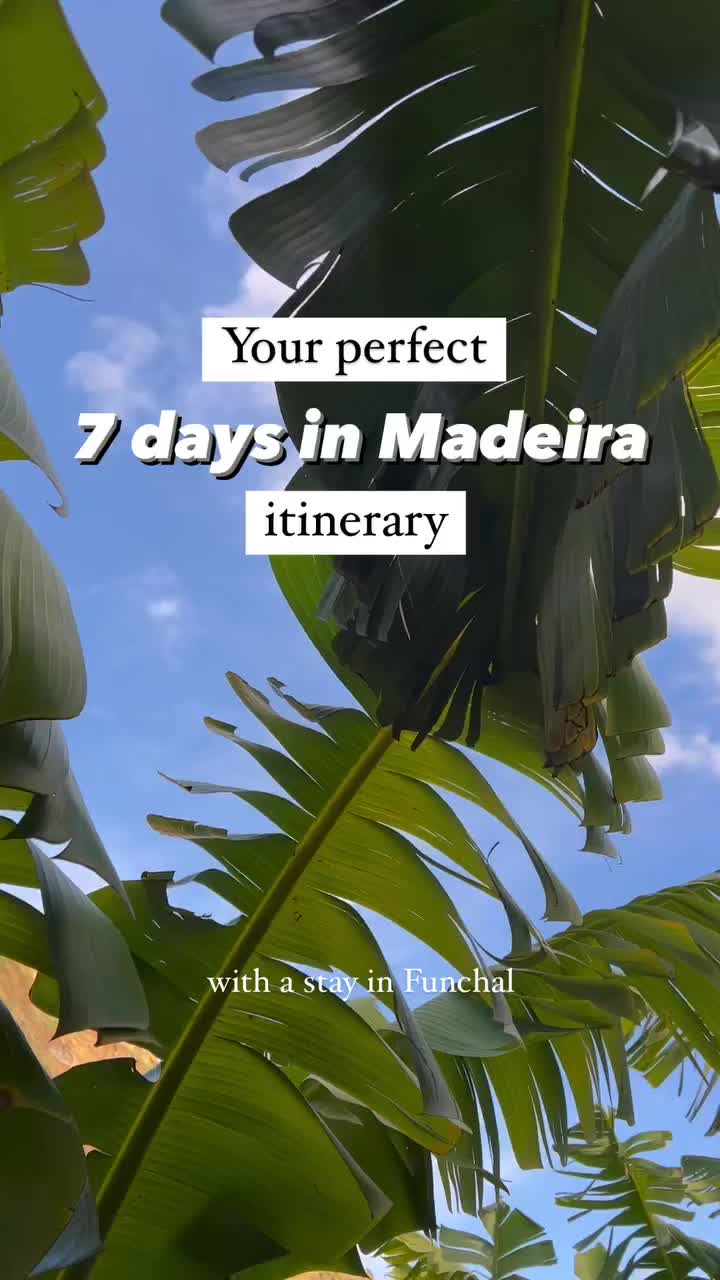 Perfect 1 Week Madeira Itinerary for Your Dream Trip