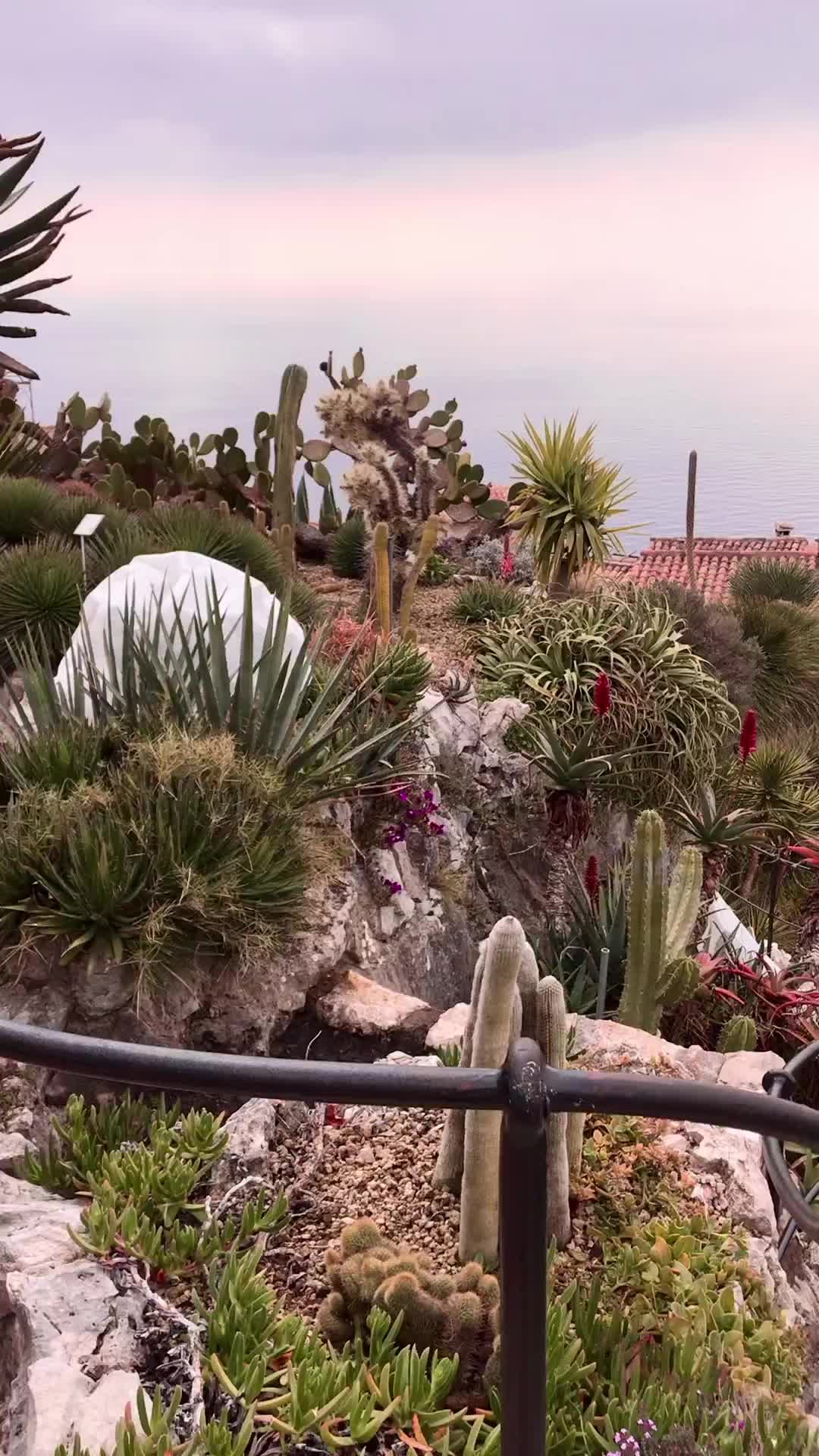 Discover the Tranquil Beauty of Eze Gardens, France