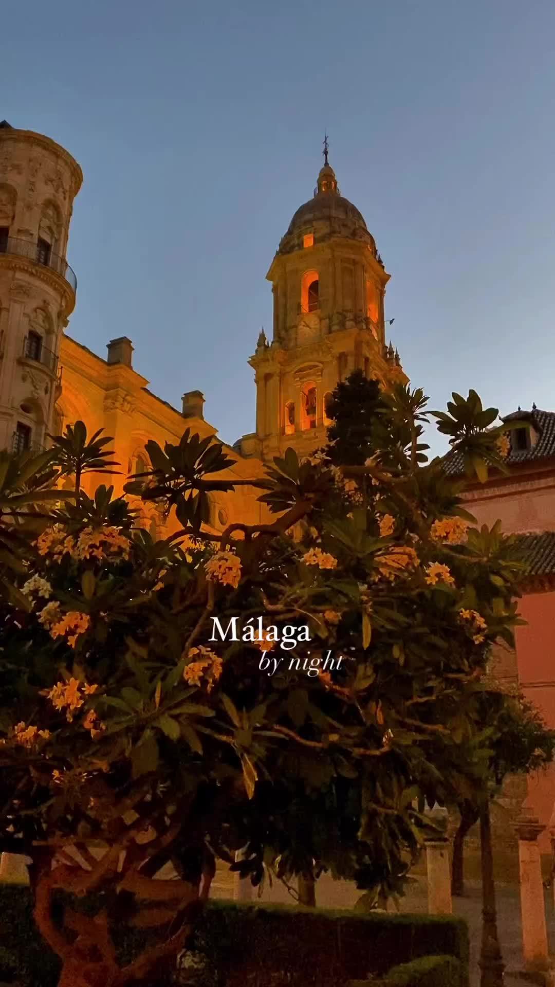 Málaga Nights: Machado's Poetic Essence