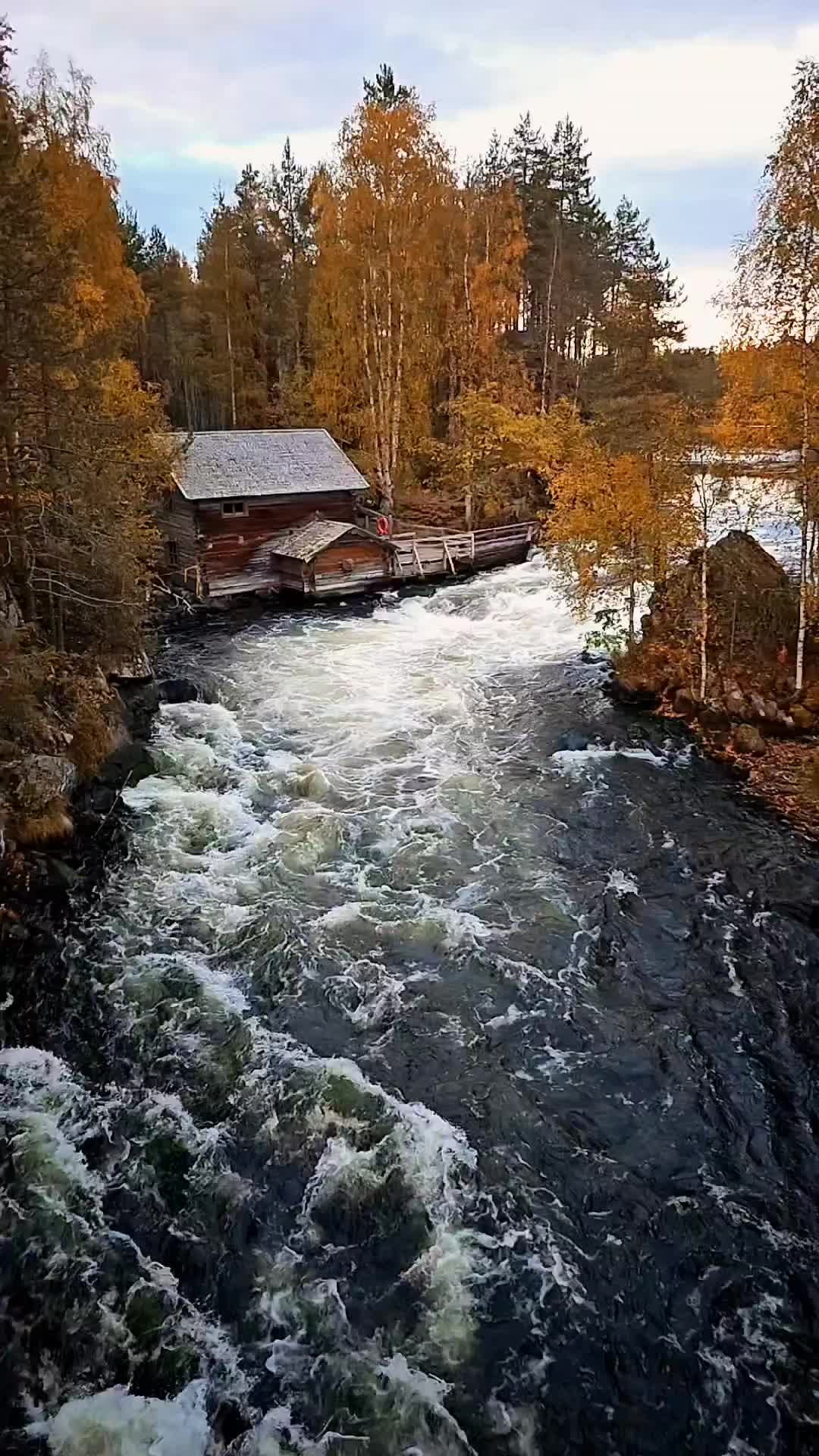 Autumn's Dance at Myllykoski Kuusamo, Finland 🍂🍁