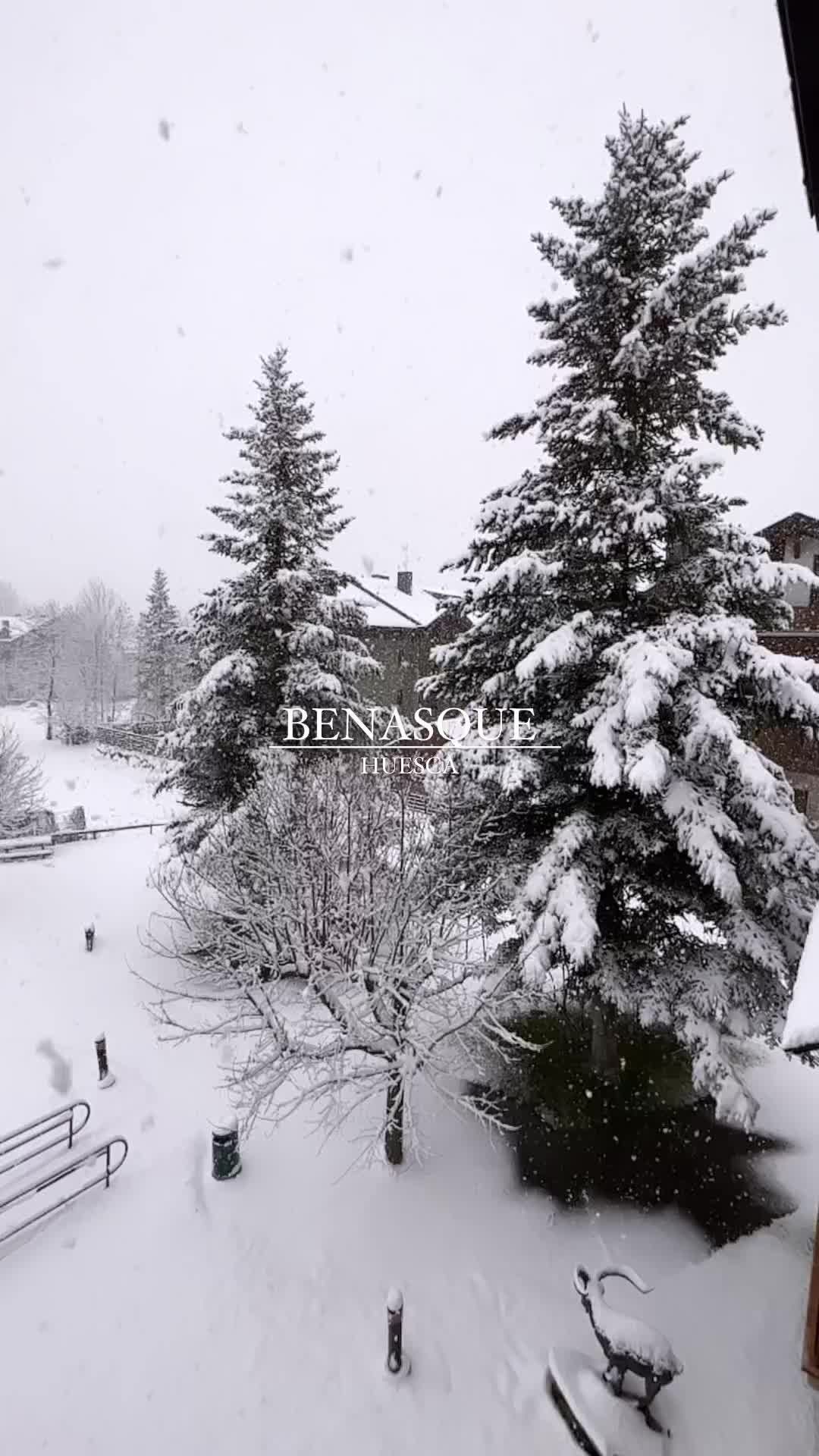 First Snowfalls in Benasque, Aragonese Pyrenees 🌨️❄️