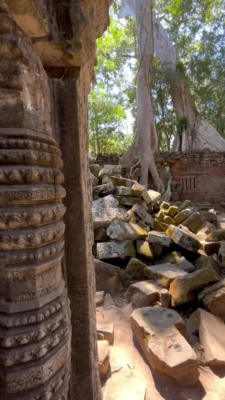 Casually walking around 900yo temples in Cambodia 🇰🇭🤍

📍: Ta Prohm Temple

Who wants a full one-day Angkor Itinerary by bike? 👀

🏷️ Save this post for later!

Follow @wheretoflow for more travel inspo 🌴

.
.
#angkor #angkorwat #cambodiatravel #cambodia #flowtocambodia #angkortemples #taprohm #taprohmtemple #discovercambodia #cambodia🇰🇭 #angkorwatcambodia