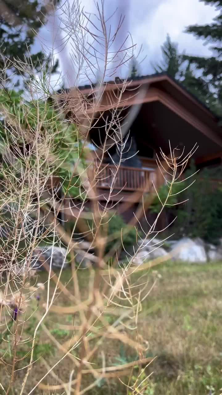 Stunning Views from The Pinecone Cottage in Canada