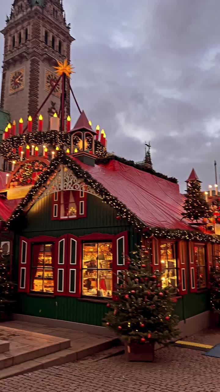 Hamburg Christmas Market: A Festive Evening in Germany