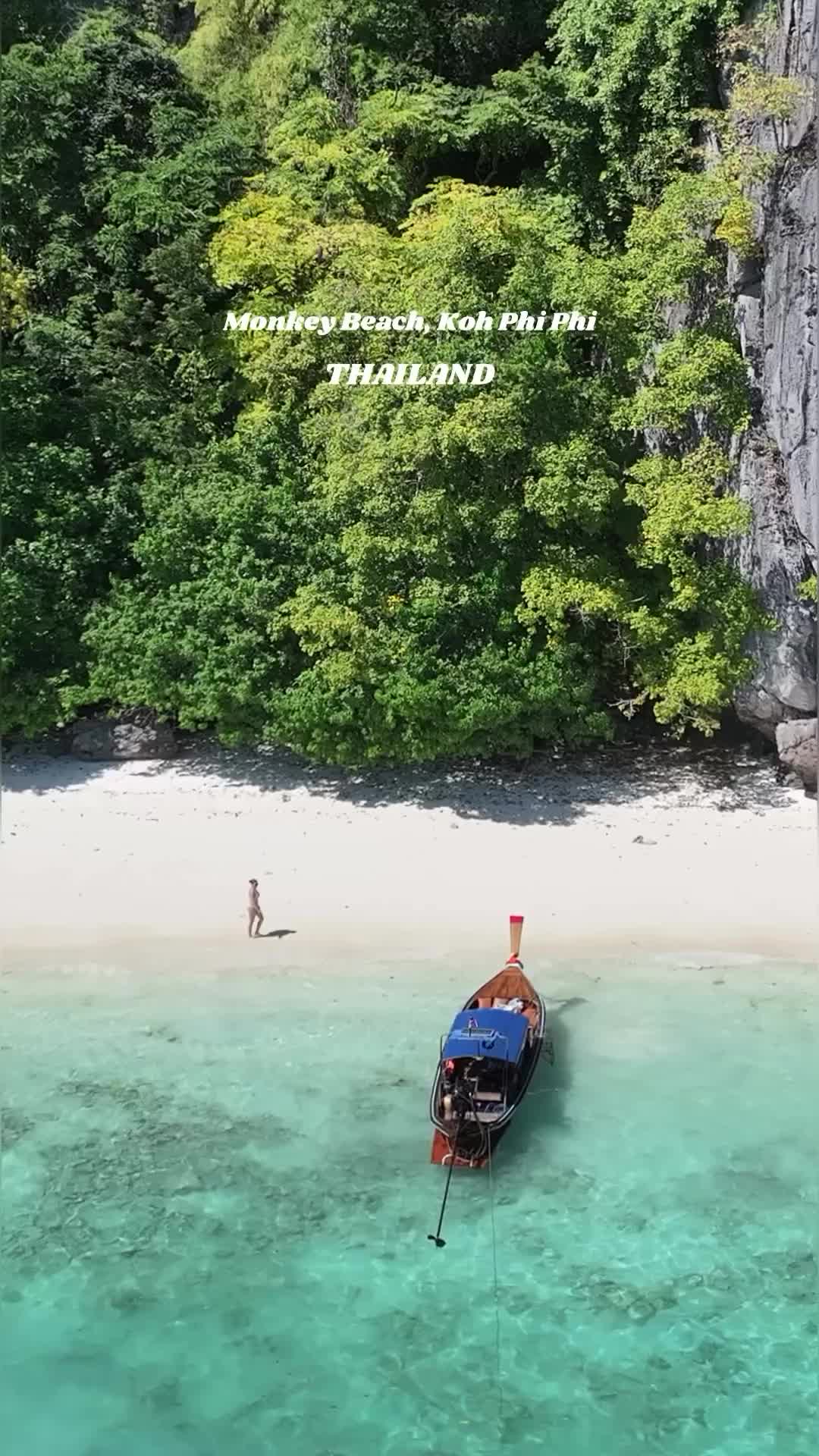 Monkey Beach, Koh Phi Phi: Crystal Waters & Local Monkeys