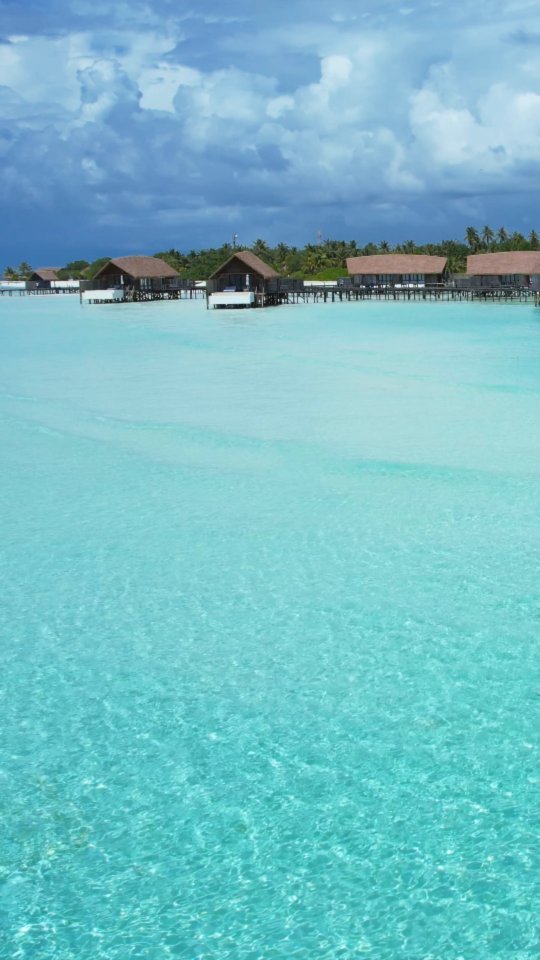 How crazy is this water?! 🤩🏝️

📍 Como Cocoa Island, Maldives

-

Follow us ❤️ @toptravelplaces_ for more 👍
Follow us ❤️ @toptravelplaces_ for more 👍
Follow us ❤️ @toptravelplaces_ for more 👍

-

📸 Video taken by @toptravelplaces_

-

#maldives #maldivesresorts #maldivas #malediven #comococoaisland #comohotels #maldivesislands #maldivesinsider #visitmaldives #bluelagoon #maldiveslovers #Мальдивы #путешествия #maldivesparadise #maldivesphotography #amazingdestinations #instatravel #paradise #beautifulmaldives #bali #borabora #luxurytravel #wanderlust