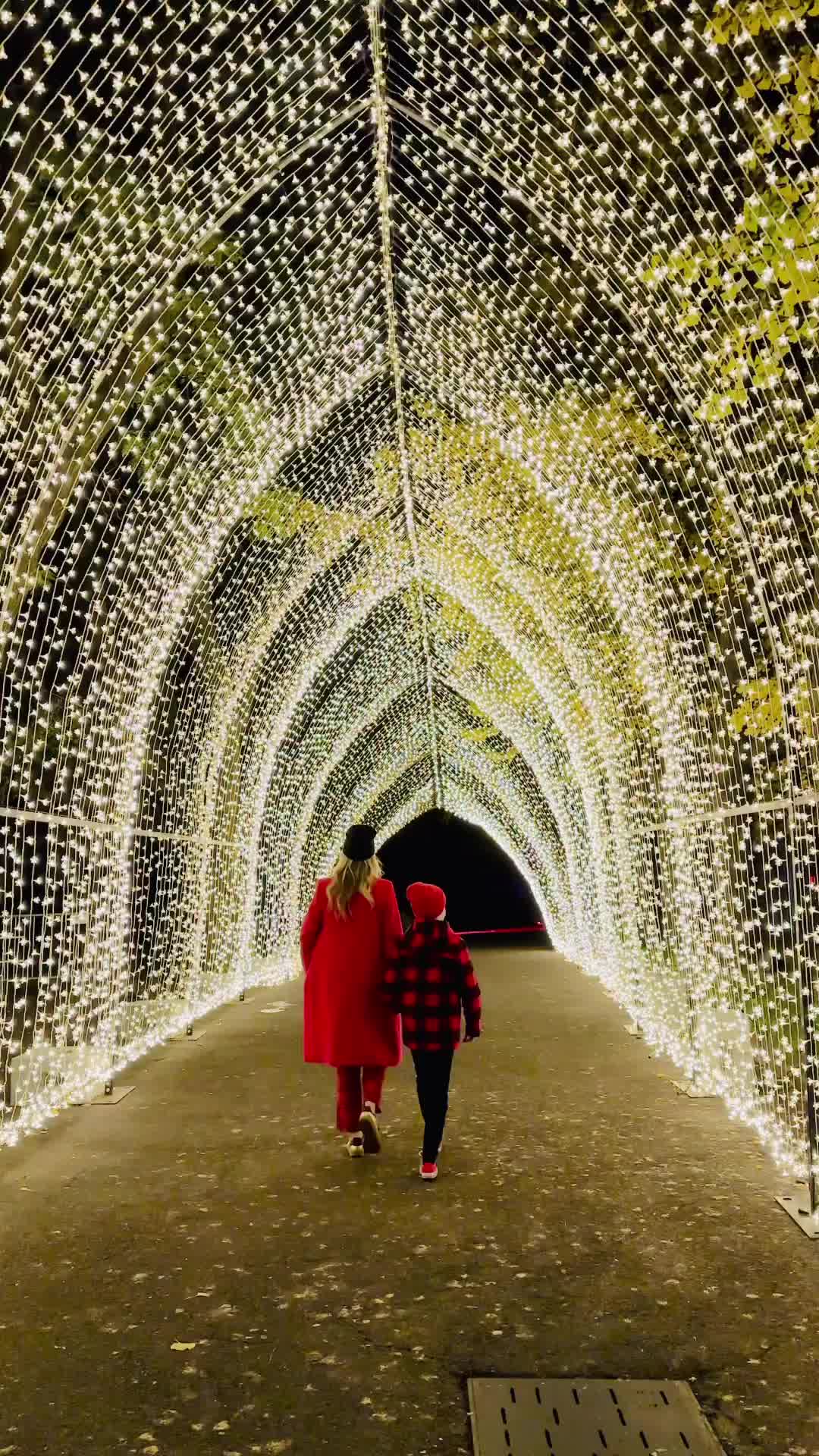 Win Tickets to Lightscape at Brooklyn Botanic Garden!
