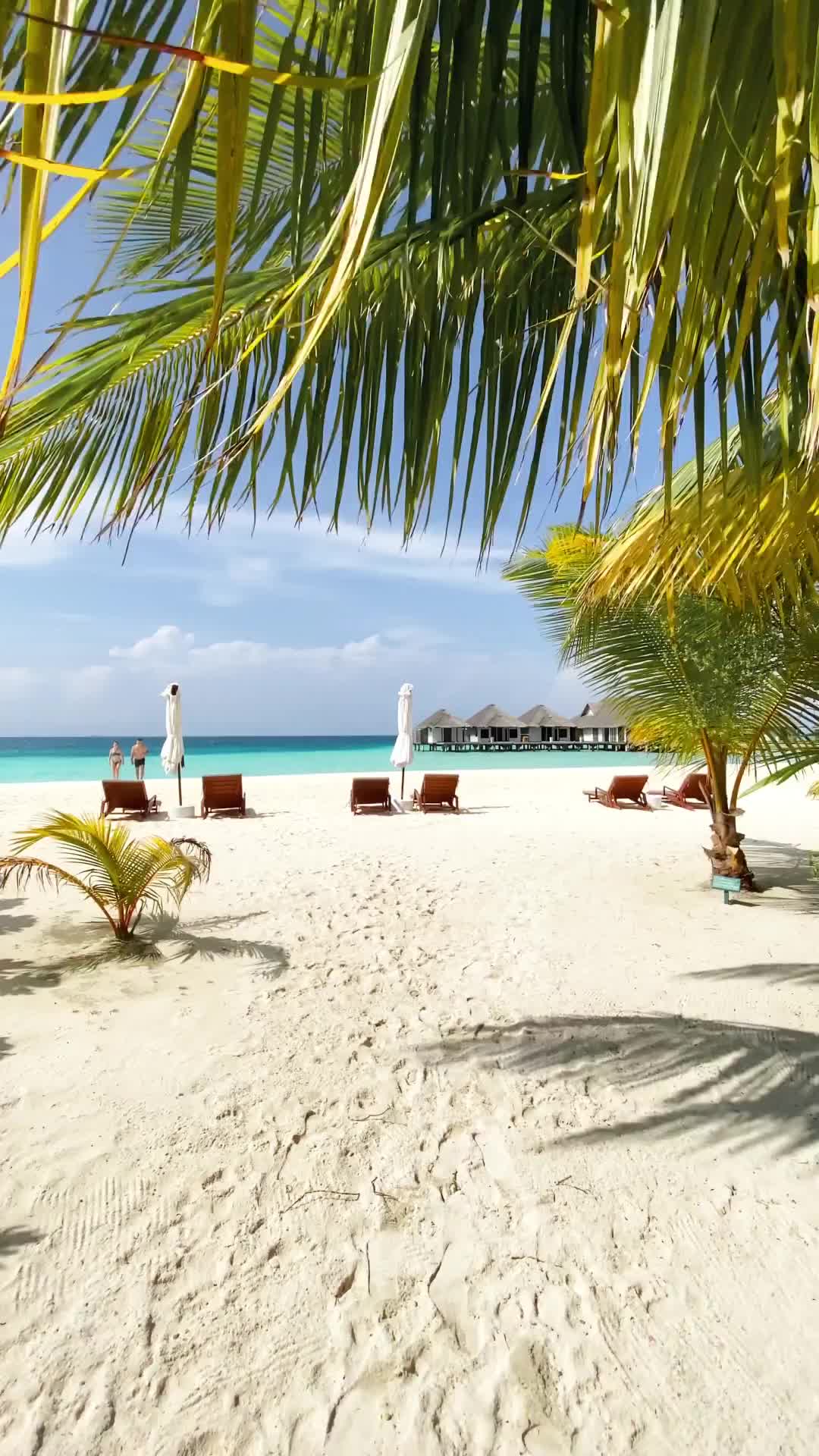 Heaven on Earth: Velassaru Maldives Beach Paradise