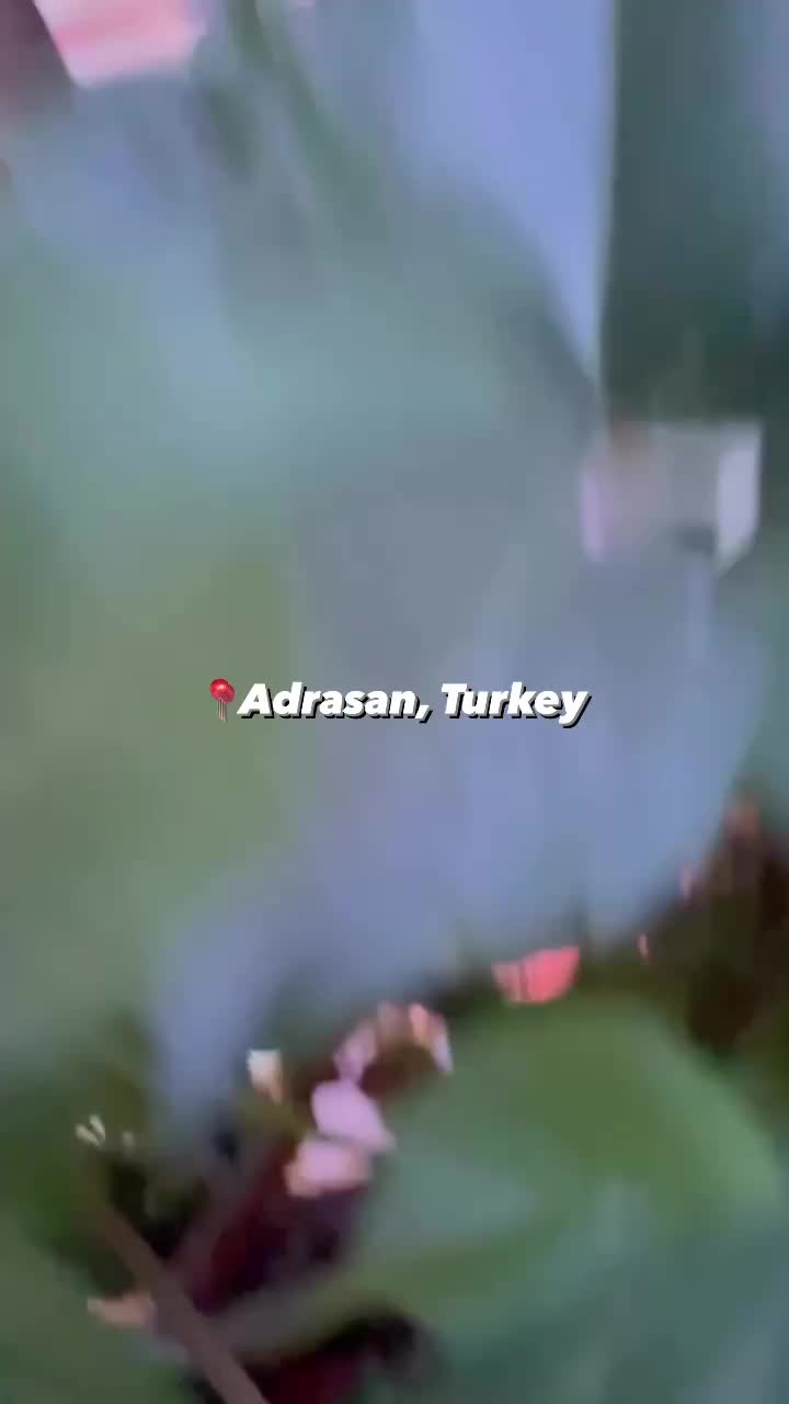 Discover Adrasan: Turkey's Hidden Gem Vacation Spot