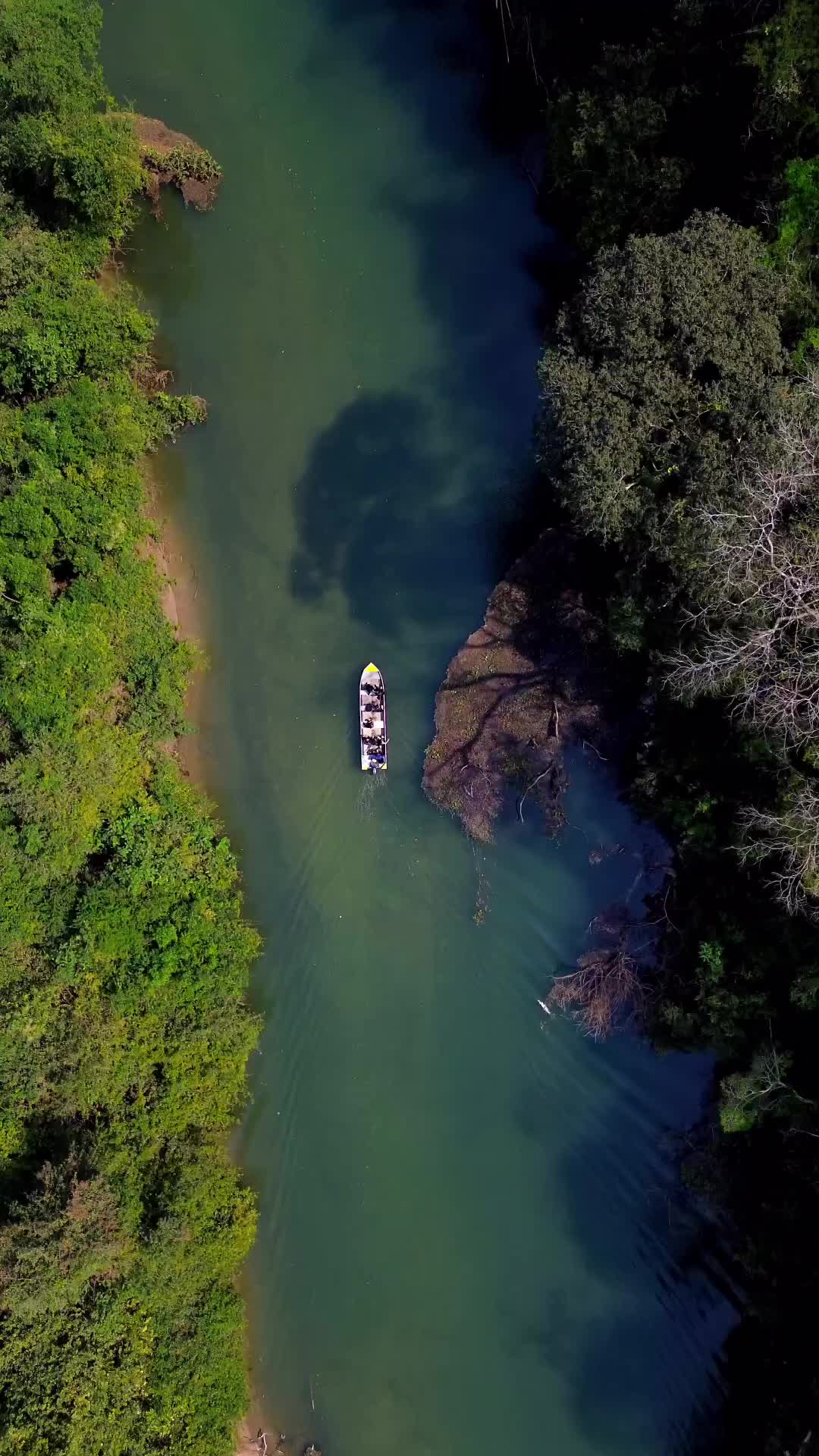 Discover Nascentes da Serra: A Magical Floating Tour