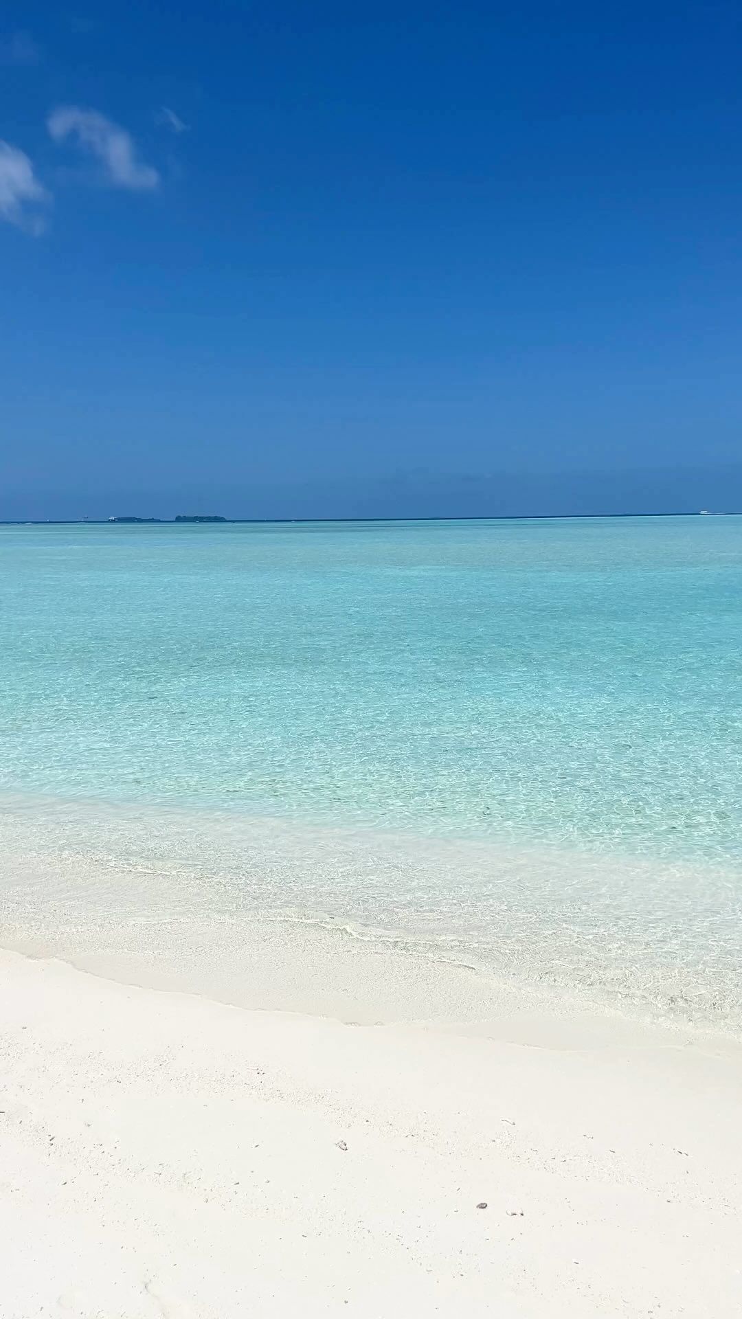 in honor of leaving for our 21 day trip to the maldives tomorrow …. here’s one of my fave videos of my fave lagoons 😍‼️

genuinely cannot put into words how excited and thankful i am to be returning to my favorite place in the entire world. seems totally surreal that 48 hours from now i’ll be halfway across the world hanging out in my overwater villa. 

i cannot wait to share everything about the 3 stunning properties we will be visiting (jumeirah, six senses and taj exotica). get ready for three jam packed weeks of content!!!! 
.
.
.
🏝🏝follow @maldives.postcards for more maldives content 🏝🏝
🏝🏝follow @maldives.postcards for more maldives content 🏝🏝
.
.
.
#maldives #maldivesislands #maldivesresorts #luxury #beachlife #overwaterbungalow #overwatervilla #luxurytravel #luxurytraveller #fourseasons #luxurymaldives #conradmaldives #picoftheday #travel #nature #photooftheday #travelgram #likeforlike #naturephotography #follow #luxuryresorts #tropical #maldivesluxury #beach #sand #sun #tropics #wmaldives #explorepage #Мальдивы