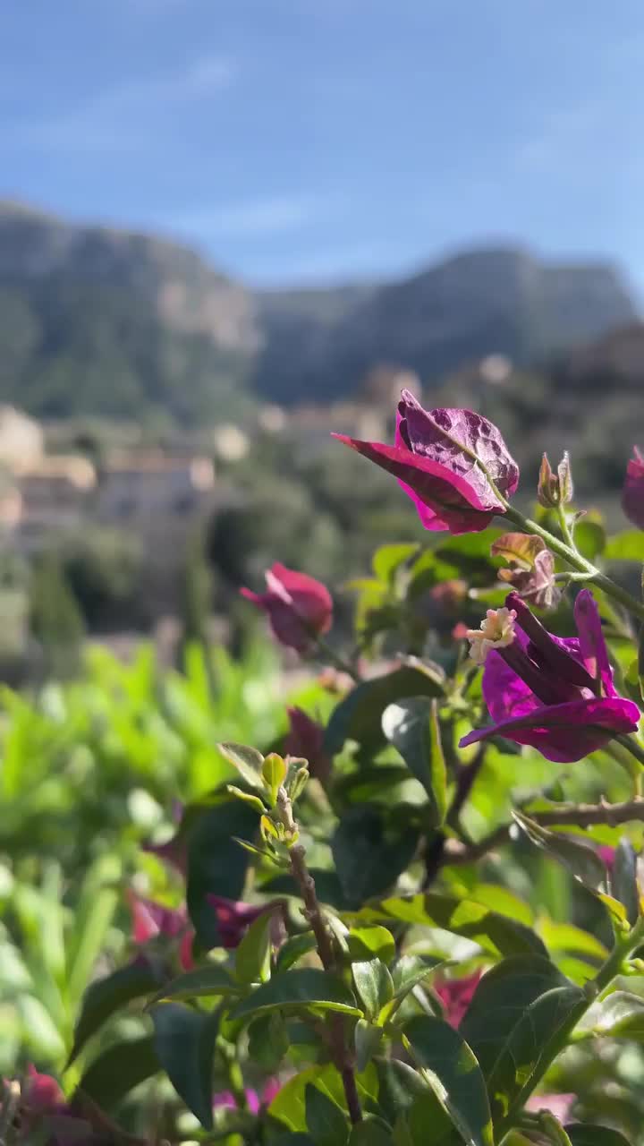 Discover Deià: Charming Village in Mallorca, Spain