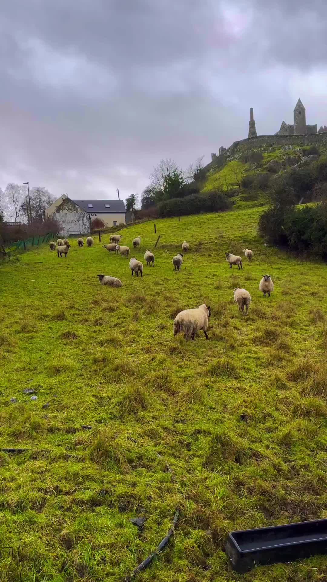 Discover the Historic Rock of Cashel in Ireland