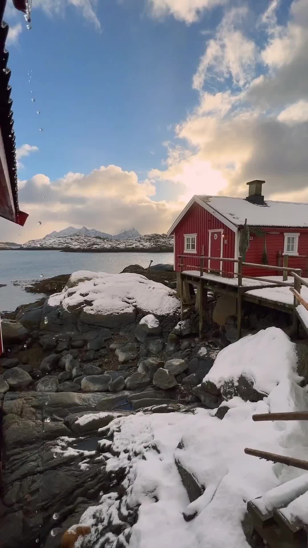 Authentic Rorbu Cabins in Lofoten - Stay at Svinøya Rorbuer