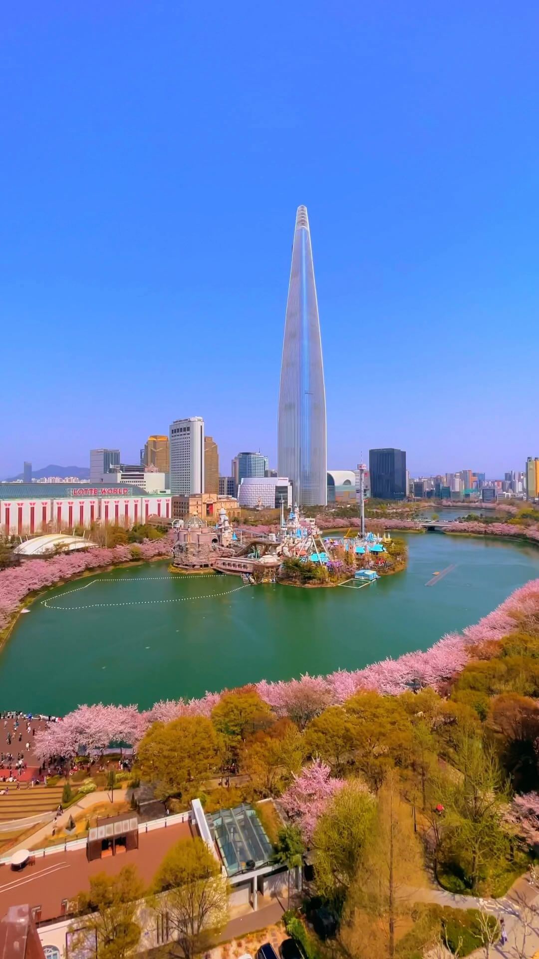 DMZ, Palaces, and Foodie Delights in Seoul