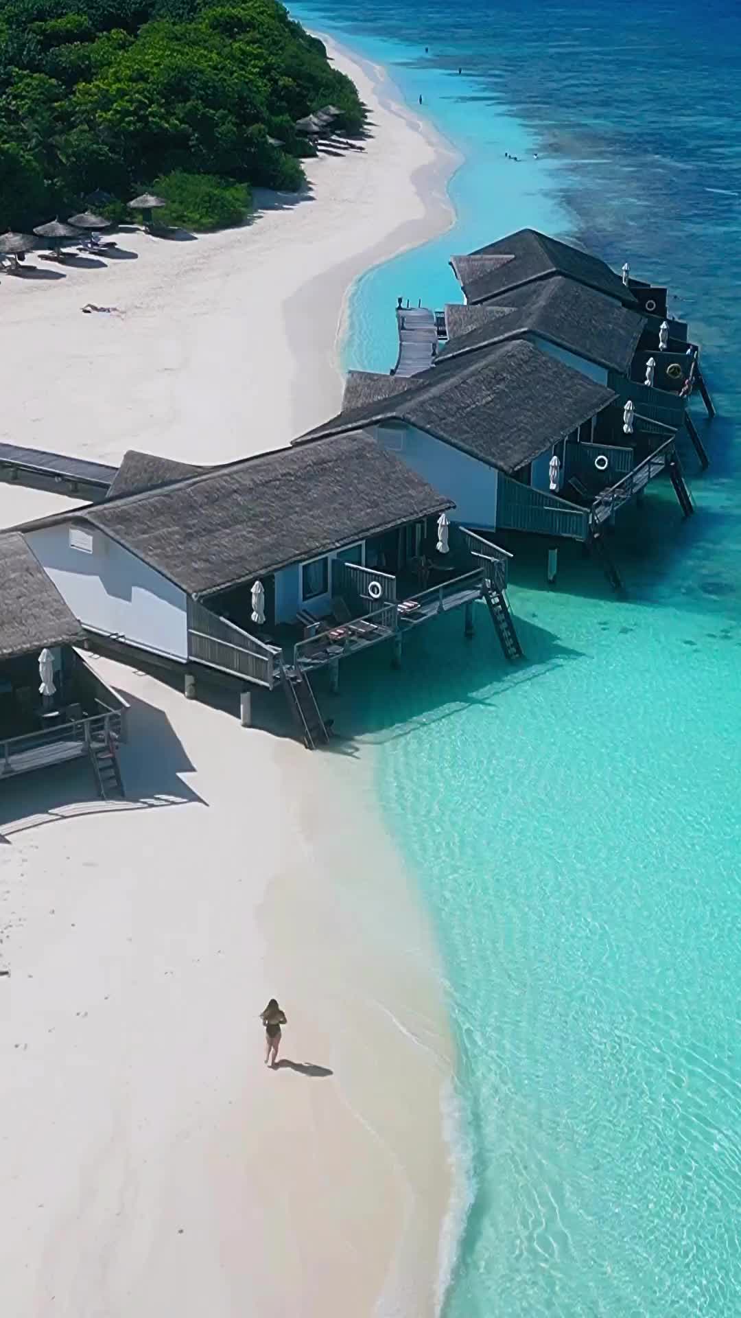Experience Bliss at Reethi Beach Resort in Maldives