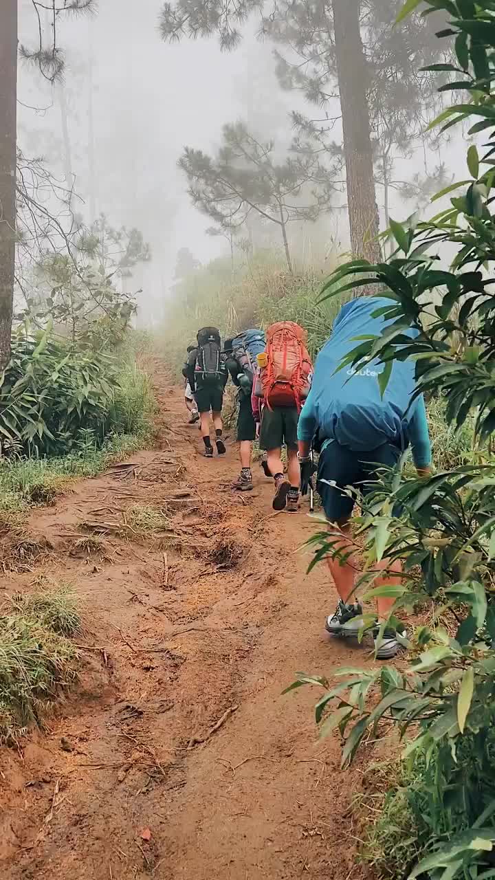 Epic Hike to Merbabu via Suwanting 🌄