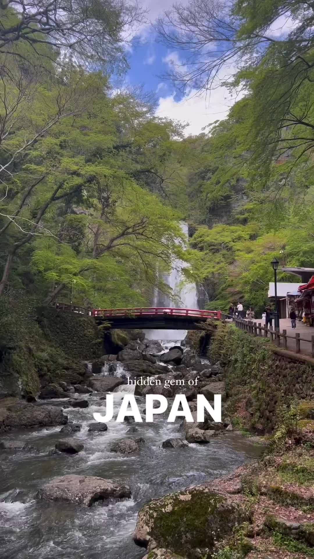 Missing Japan: Exploring Minoo Park, Osaka 🌸