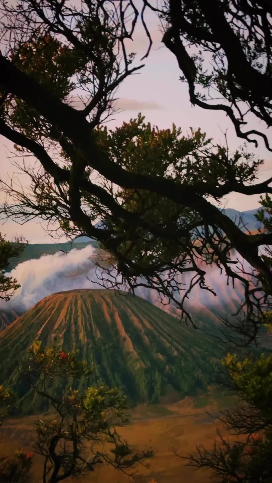 Discover Bromo: East Java’s Adventure & Culture Haven