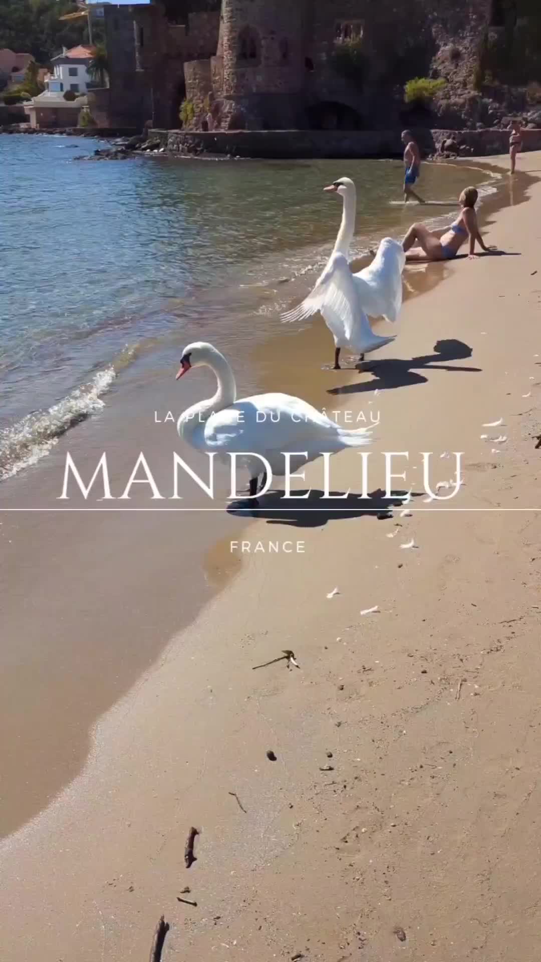Discover Mandelieu-la-Napoule's Hidden Beach Paradise