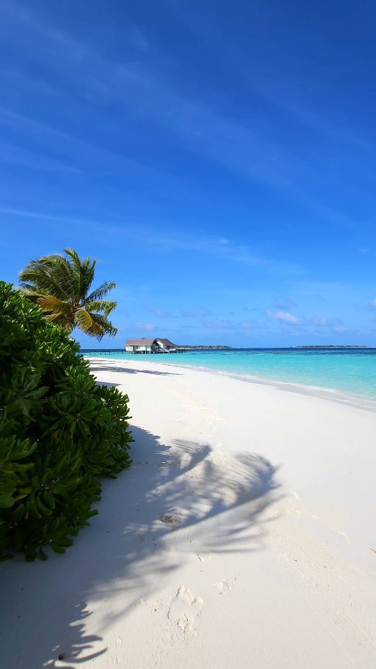 Beautiful Maldives 😍🏝️

📍@fsmaldives

—

#maldives #fsmaldives #beachholiday #luxurytravel #honeymoondestination #travelinspiration